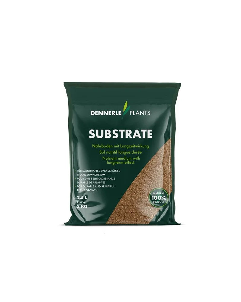 Sol Nutritif Aquarium