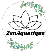 ZenAquatique – Plantes d’aquarium faciles et pas chères