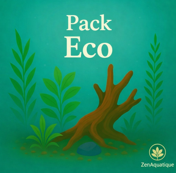 Nos Pack d'Aquarium