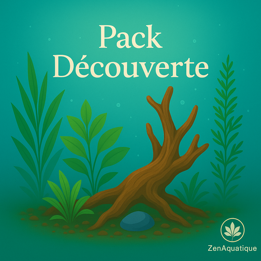Pack Découverte