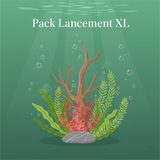 Pack lancement XL
