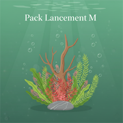 Pack Lancement M