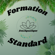 Formation Standard