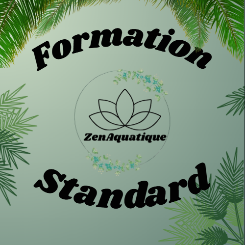 Formation Standard
